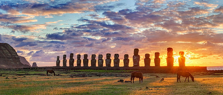 Moai Statues Easter Island Chile, green, livestock, animal, sky Free HD Wallpaper