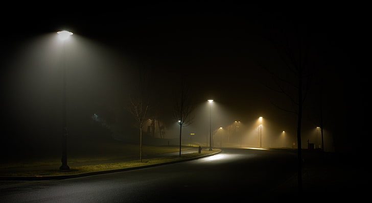 Modern Landscape Path Lighting, fog, absence, mist, lighting equipment