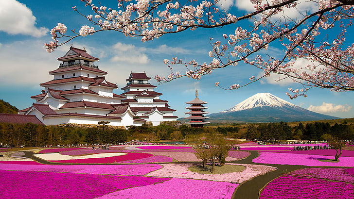 Mount Fuji Cherry Tree, spring, flower, landscape, mount fuji Free HD Wallpaper