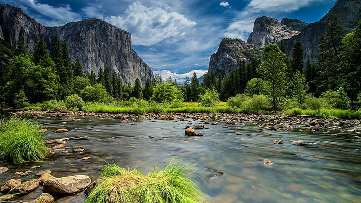 Mountains River Trees, national park, sierra nevada, california, yosemite national park Free HD Wallpaper