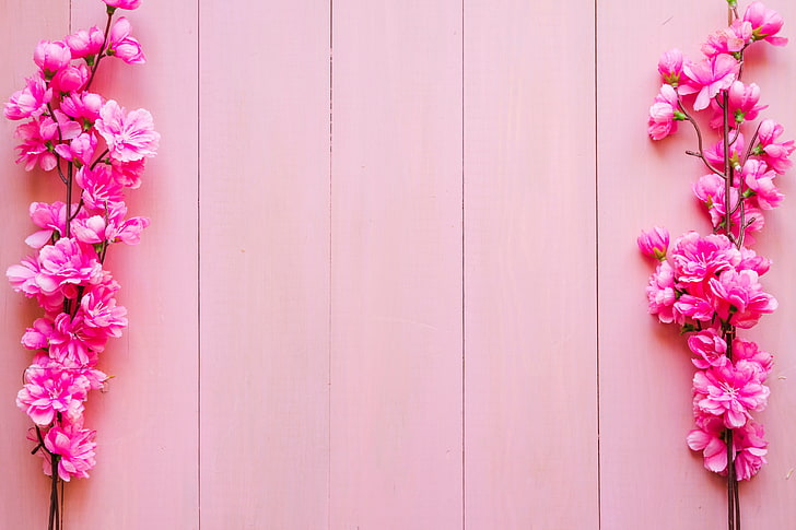 Pink Flower Bush, pink, branches, background, wood Free HD Wallpaper