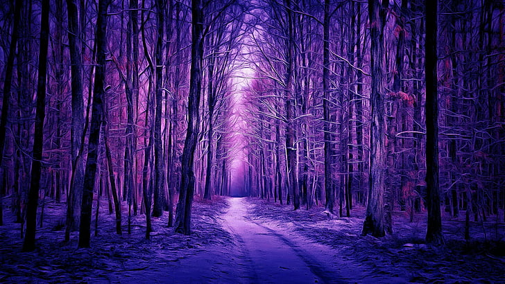 Purple Magical Forest, darkness, digital painting, path, digital art Free HD Wallpaper