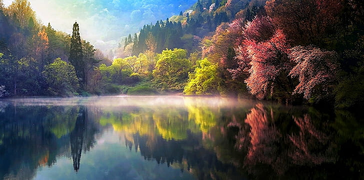 Seoul Forest South Korea, reflection, spring, nature, mist Free HD Wallpaper