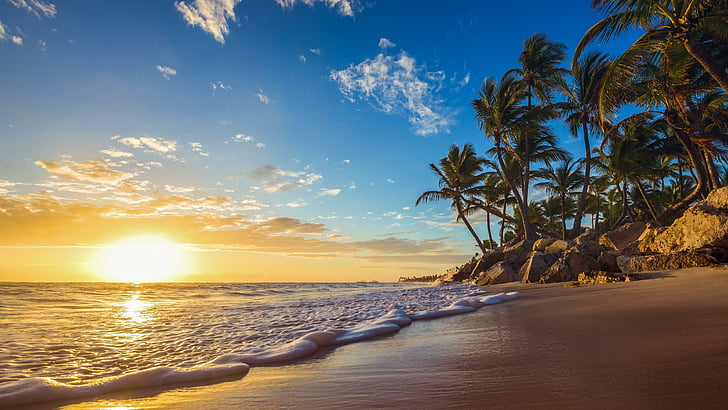 Tropical Beach Sunrise Hawaii, shore, sea, coast, caribbean Free HD Wallpaper