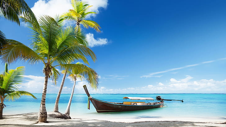 Tropical Beach, thailand, palms trees, trees, palms Free HD Wallpaper