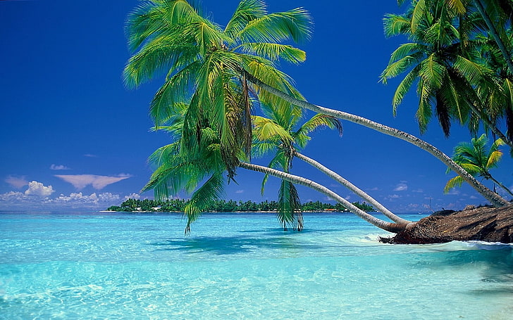 Tropical Beach Windows 10, tranquil scene, waterfront, water, blue