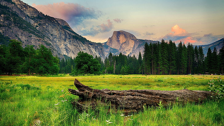 Ultra HD Nature, mountain peak, tranquility, beauty in nature, coniferous tree Free HD Wallpaper