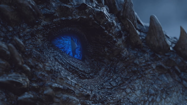 White Walker Dragon, extreme closeup, outdoors, macro, ice dragon Free HD Wallpaper