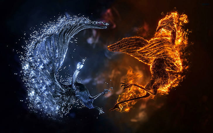 Wings of Fire Ice Dragon, birds, Birds, fire, and