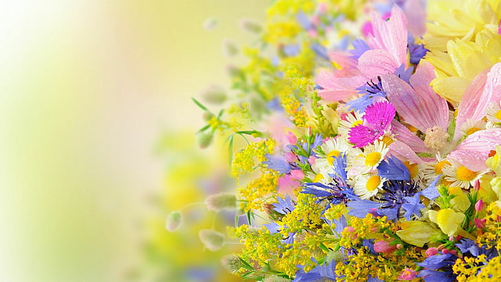 Zinnia Flowers, bright, yellow, leaves, april