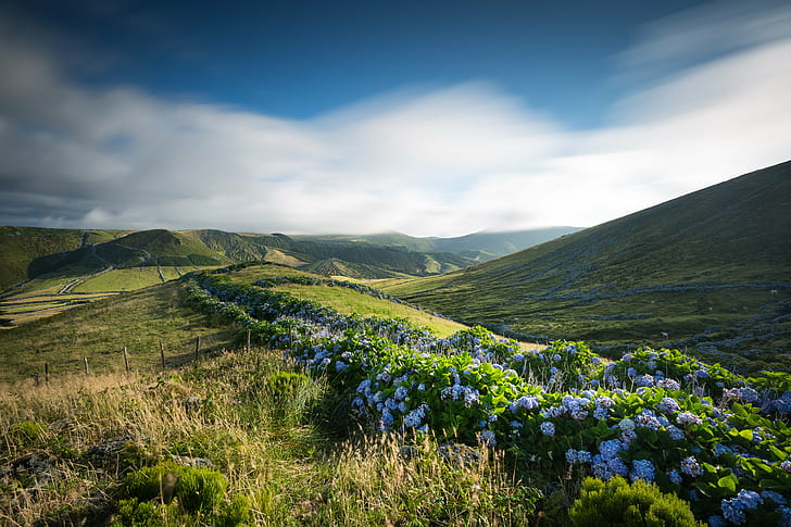 adobe lightroom, hill, outdoors, flower Free HD Wallpaper