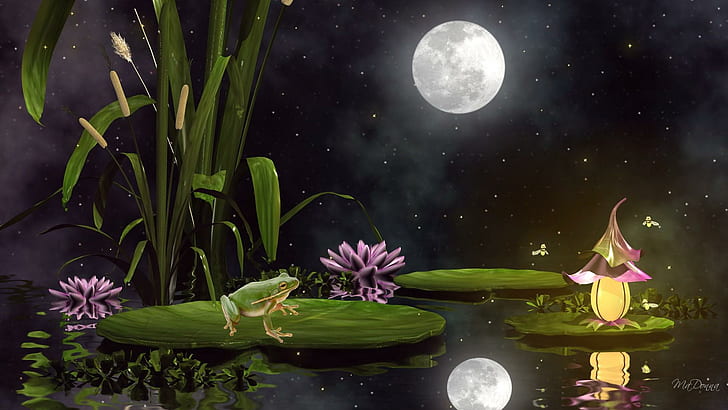 Animated Moon and Stars, fantasy, pond, fancy, frogs Free HD Wallpaper