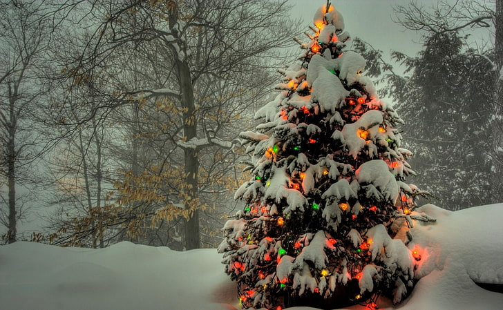 Beautiful Animated Christmas Tree, holiday  event, christmas ornament, christmas, red Free HD Wallpaper
