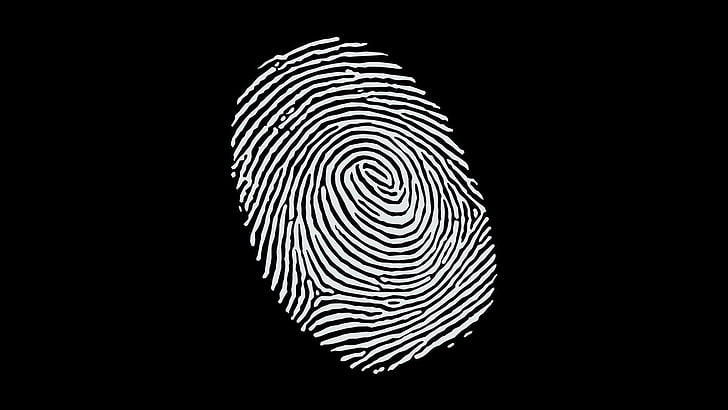 Black and White Spot Pattern, cut out, paper, fingerprint, copy space Free HD Wallpaper