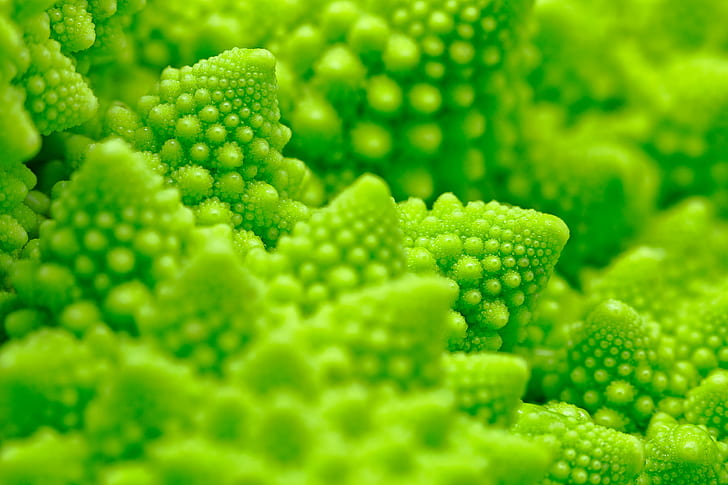 Broccoli Photo, pure, dots, fractal, elegance Free HD Wallpaper