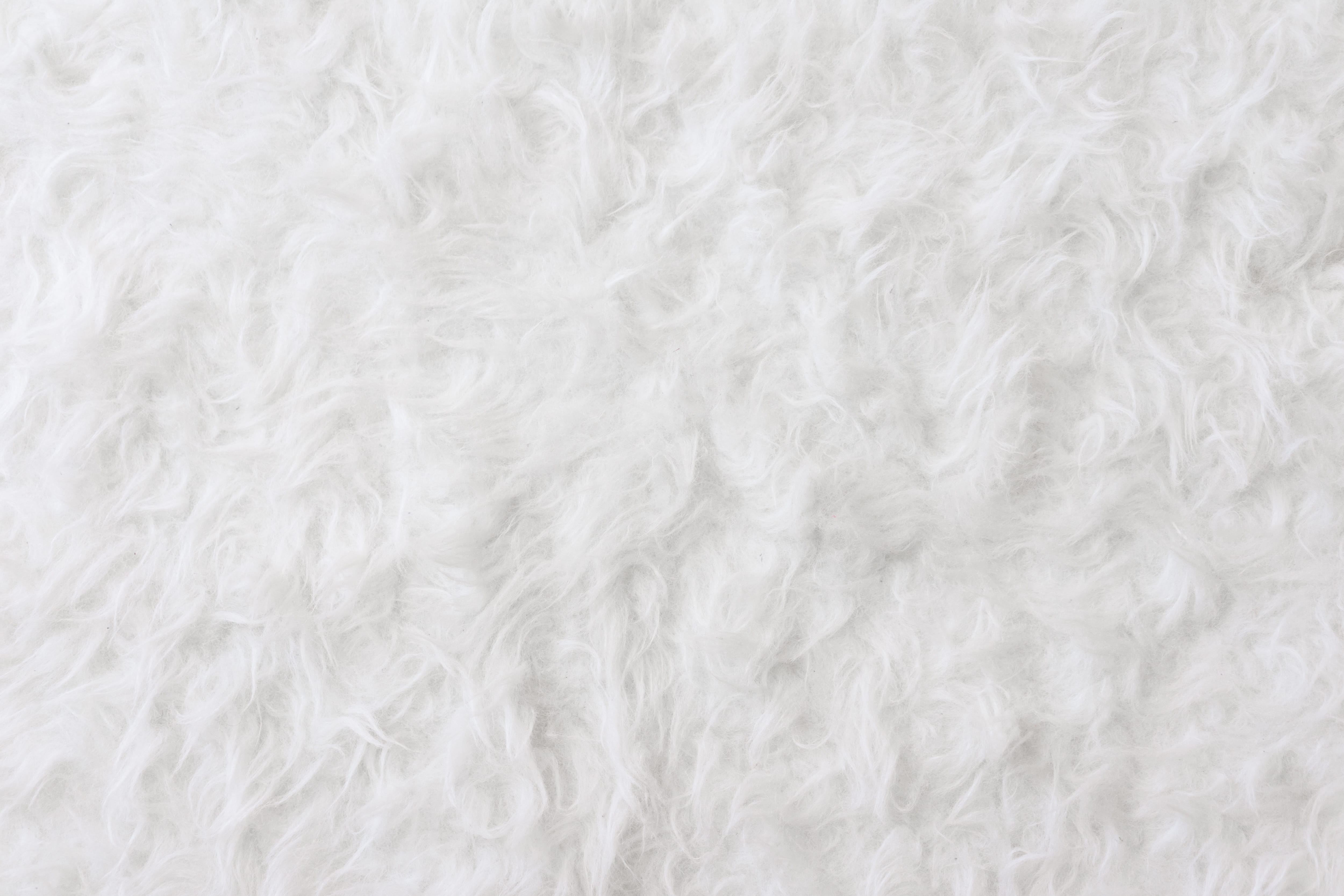 Cat Fur Texture, soft, domestic animals, indoors, eco