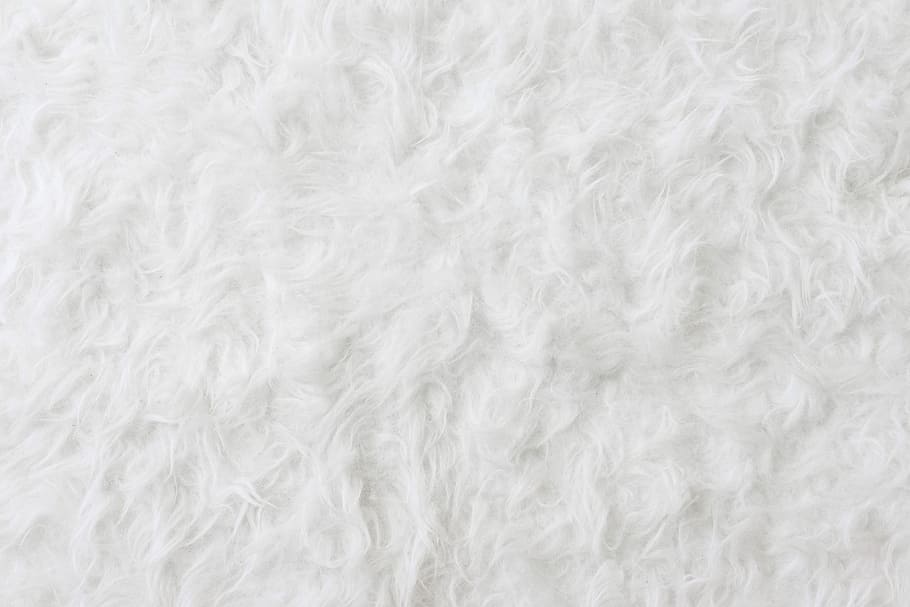 Cat Fur Texture, soft, domestic animals, indoors, eco