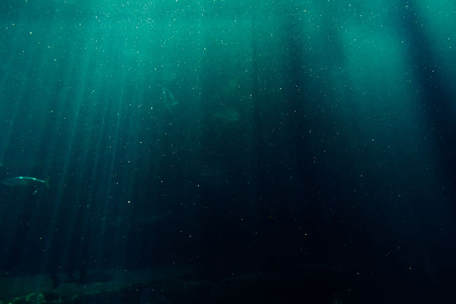 Deep Blue Sea Collection, mobile wallpaper, outdoors, land, green color