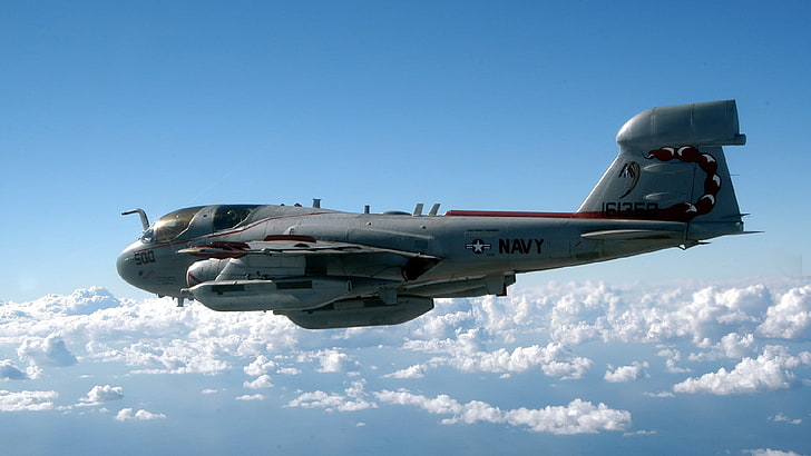 EA-6B Squadrons, government, day, on the move, plane