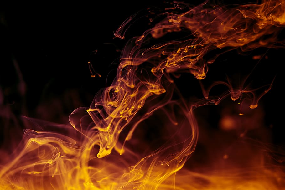 Free Fire Live Video, abstract, studio shot, closeup, ink Free HD Wallpaper