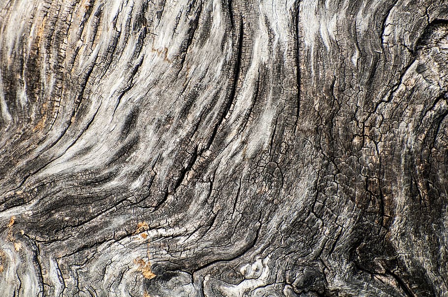 Marble Effect Black and White, textured effect, wood bark, wooden, gray Free HD Wallpaper