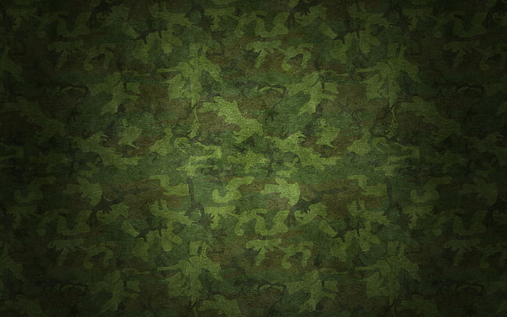 Military Camouflage Patterns, texture, Chamomile, chamomile, pattern