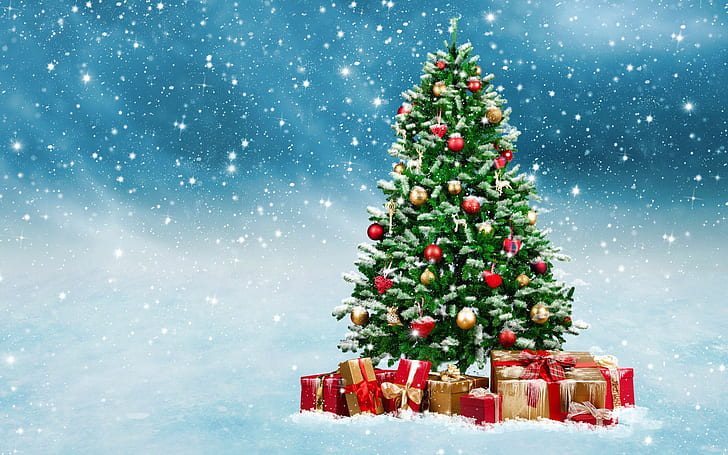 Outdoor Christmas Trees with Lights, gifts, christmas tree, decoration, merry Free HD Wallpaper