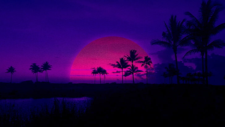 Pink Sunset Palm Trees, tropical climate, dark background, beauty in nature, blue Free HD Wallpaper