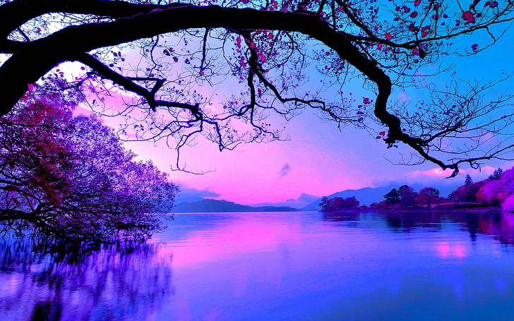 Purple Trees Beautiful Fall, nature, 1920x1200, beautiful, Beautiful Free HD Wallpaper