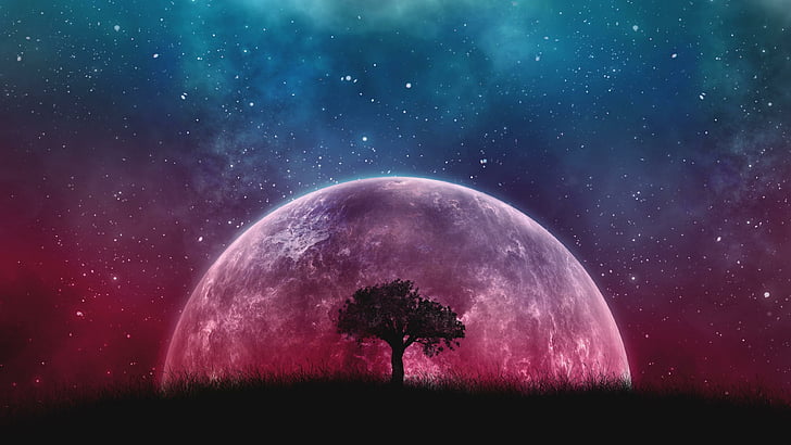 Space Galaxy Art, field, stars, lonely tree, night sky