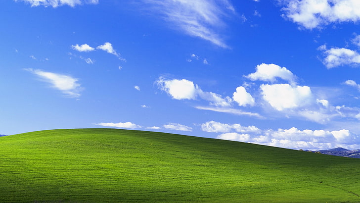 Windows XP Bliss, plain, windows xp, rural scene, plant