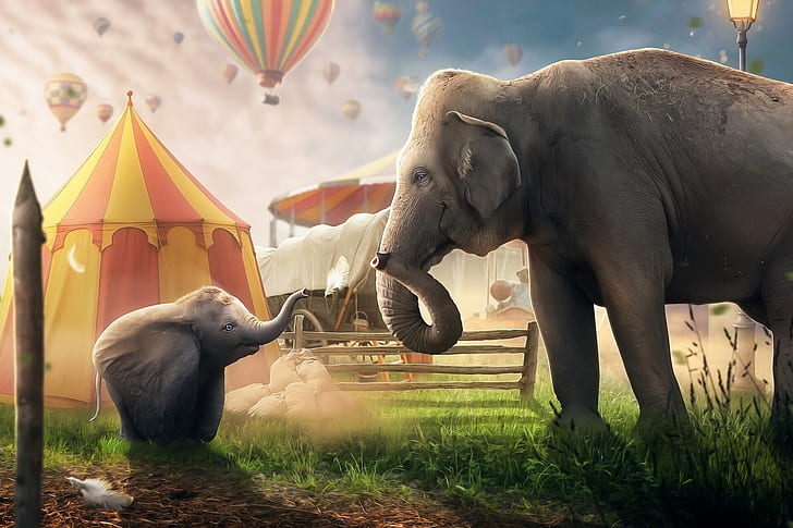 Aesthetic Stickers, elephant, the film, disney, dumbo Free HD Wallpaper