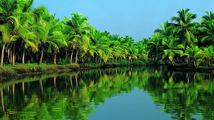 Alleppey Kerala India, lake, tranquility, day, no people Free HD Wallpaper