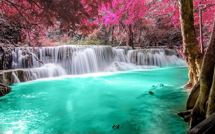 Beautiful Nature Scene with Trees and Waterfall, turquoise, river, nature, motion