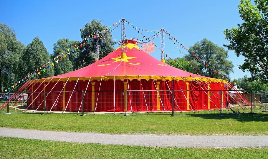 Circus Tent Cake, no people, growth, outdoors, nature Free HD Wallpaper