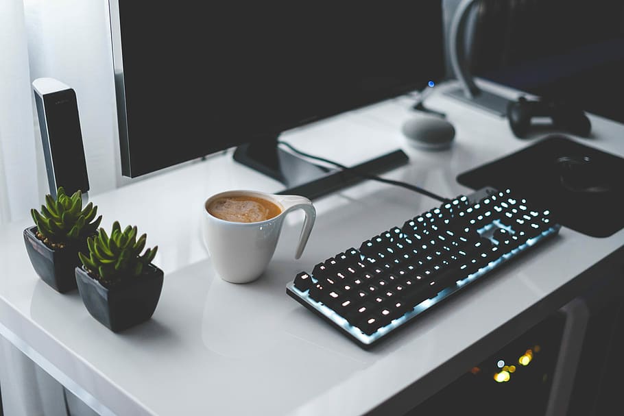 Dome Switch Keyboard, cup, drink, minimal, potted plant