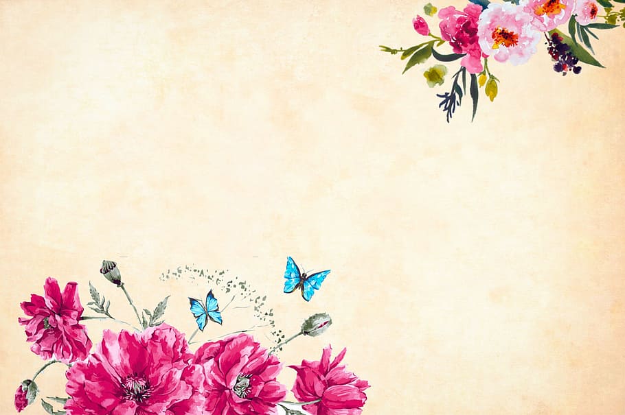 Floral Pattern, growth, blossom, blank, springtime Free HD Wallpaper