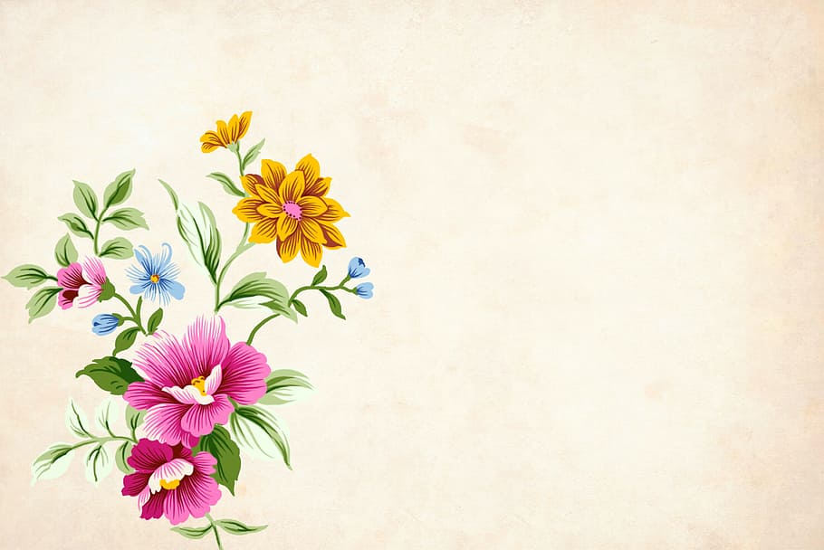 Flower Wall Border, card, flowering plant, yellow, arrangement Free HD Wallpaper