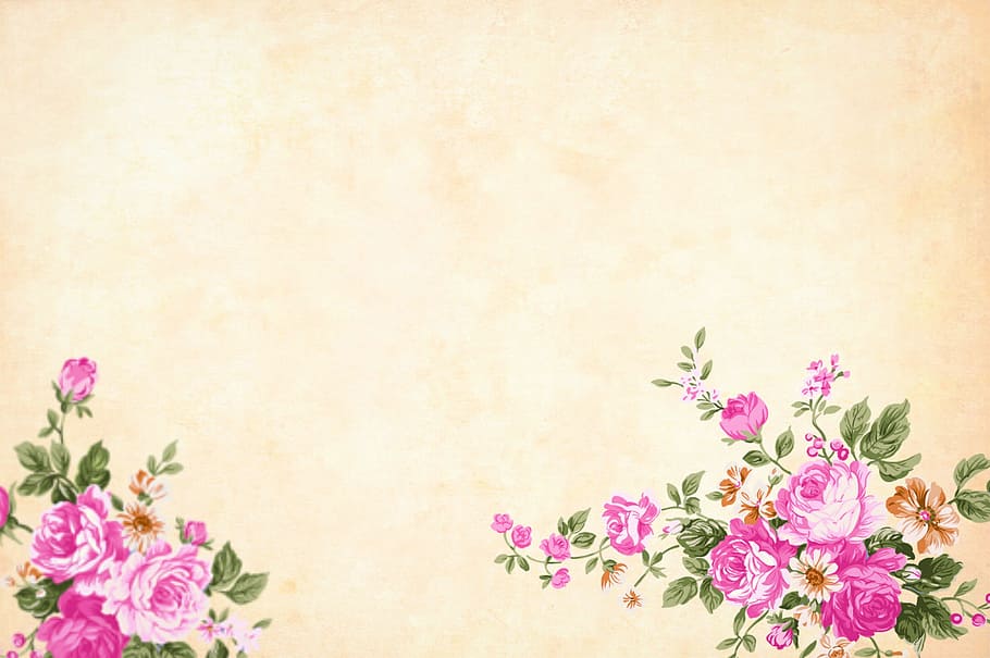 Free Spring Flower Page Borders, celebration, spring, studio shot, nature Free HD Wallpaper