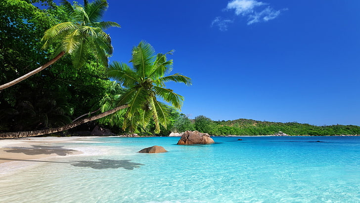 Hawaii Tropical Paradise, tranquil scene, luxury, holiday, water Free HD Wallpaper