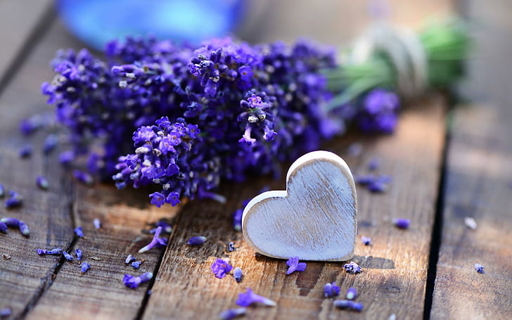 lavender, wood, lavender,, heart Free HD Wallpaper