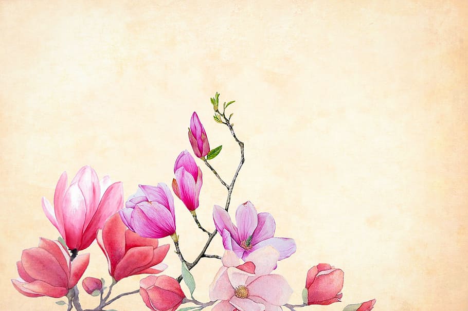 Magnolia Tree Painting, wall  building feature, freshness, springtime, nature Free HD Wallpaper