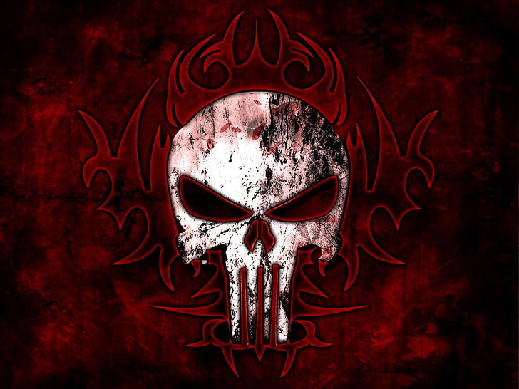 Marvel Punisher Skull, human body part, bone, death, indoors Free HD Wallpaper