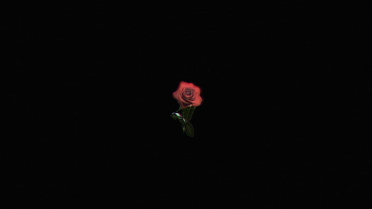 Minimalistic Rose, rose, photoshop, minimalism, simple