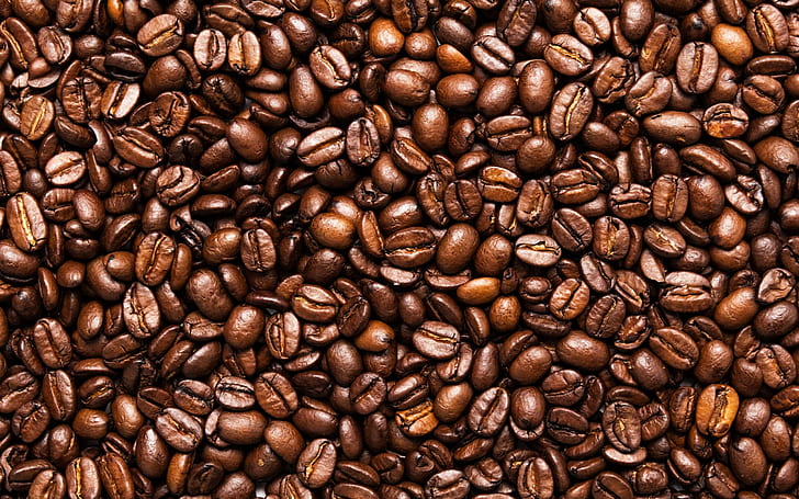 Natural Coffee Bean Process, coffee, toasted, Toasted, coffee Free HD Wallpaper