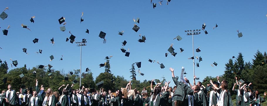 nature, education, flock of birds, cap