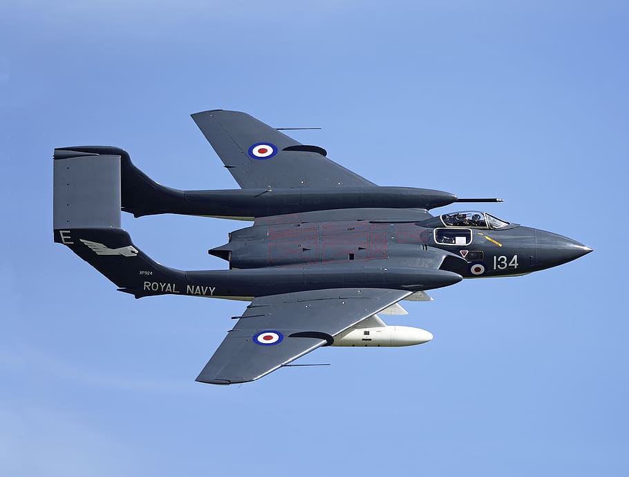 nature, on the move, clear sky, military airplane