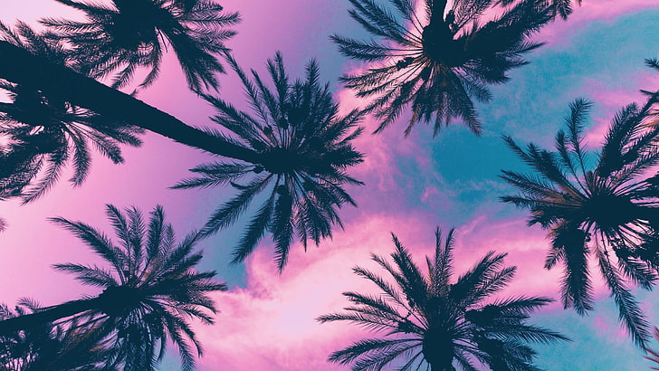 Palm Tree Leaves Printable, cloud  sky, leaf, palm leaf, tree trunk Free HD Wallpaper