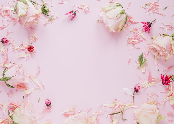 Pink Computer, pink, colorful, frame, roses