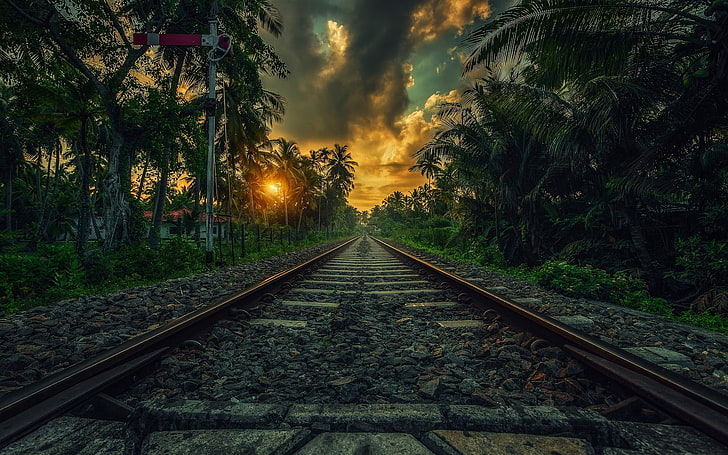 Pretty Railroad Tracks, nonurban scene, plant, railroad track, cloud  sky Free HD Wallpaper